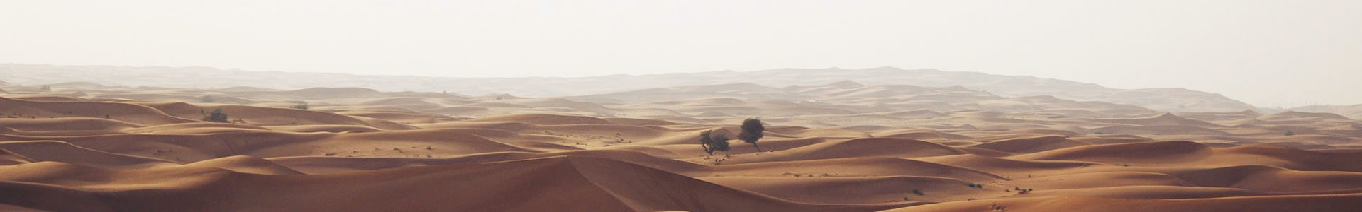 ʢ޹˾Ϋֹ˾